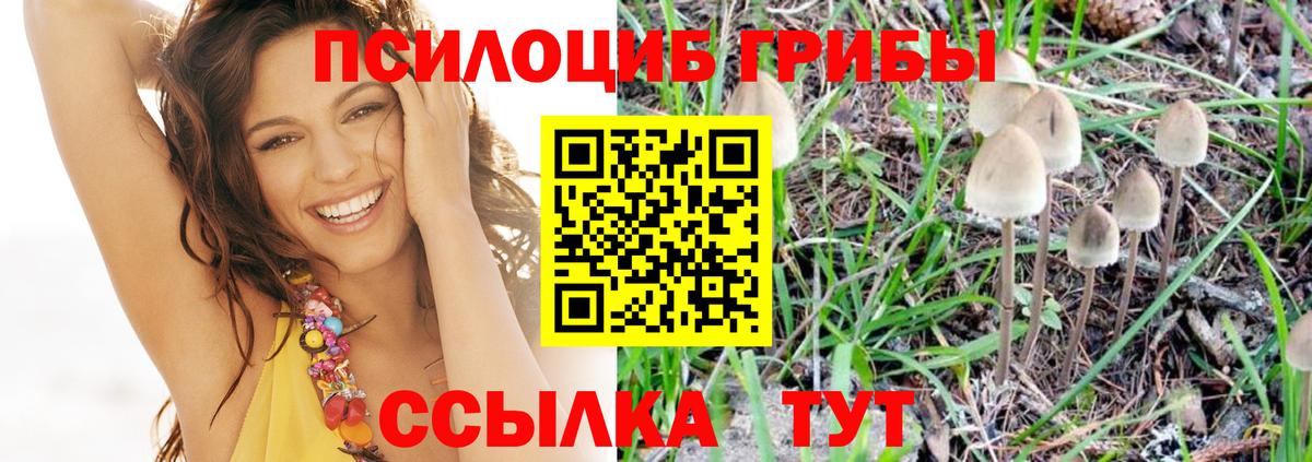 Галлюциногенные грибы GOLDEN TEACHER Когалым